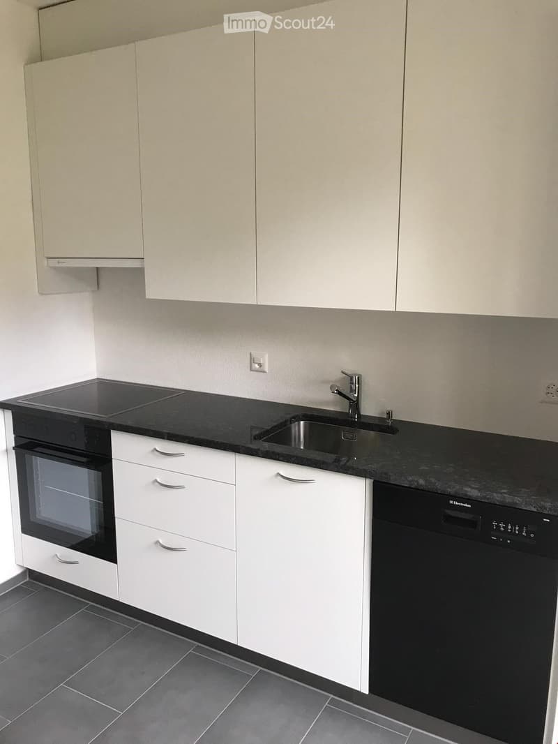 Modern kitchen with white cabinets, black countertops, built-in oven, dishwasher, and sink.
