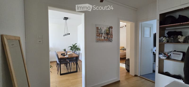Open-plan living and dining area with wooden flooring, a dining table with chairs, a large mirror leaning against the wall, a painting, a plant, and a wardrobe with shelves.