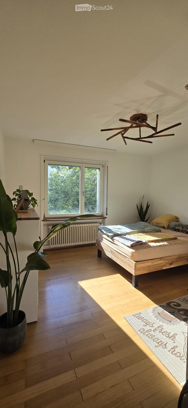 Bright bedroom with wooden flooring, large window, bed with pillows and blankets, small table with rug, and potted plant near the window.