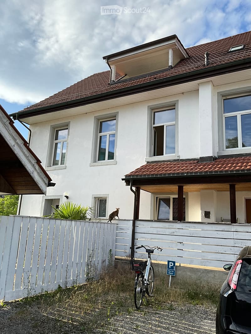 Two-story house with white exterior, multiple windows, and a small balcony. A cat is seen on the fence, and a bicycle is parked nearby.