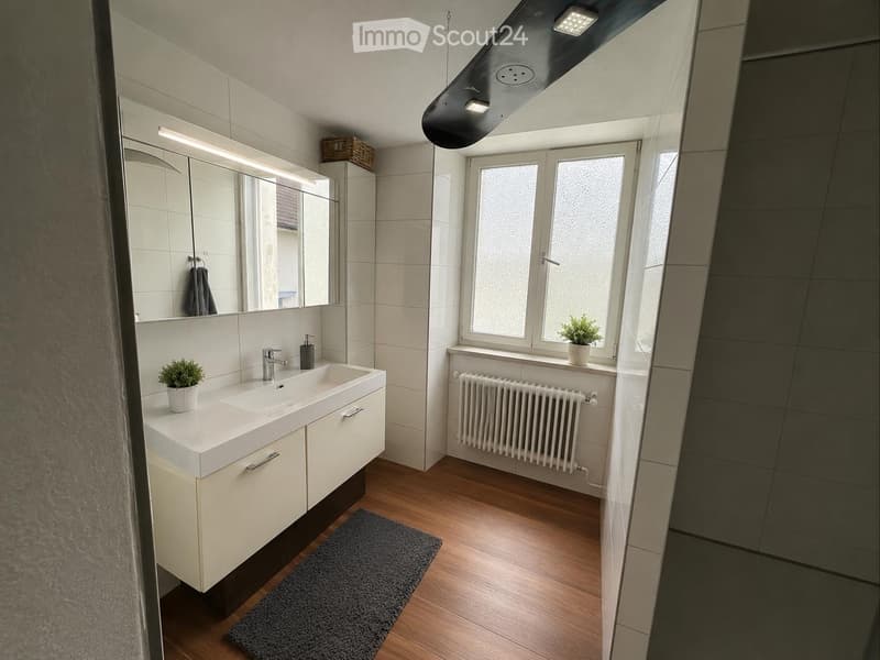 Modern bathroom with a white sink, mirror, radiator, and small plants on the windowsill and counter.