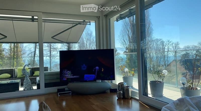 Modern living room with large windows offering a scenic view, featuring a sofa, coffee table, television, floor lamp, and potted plants.