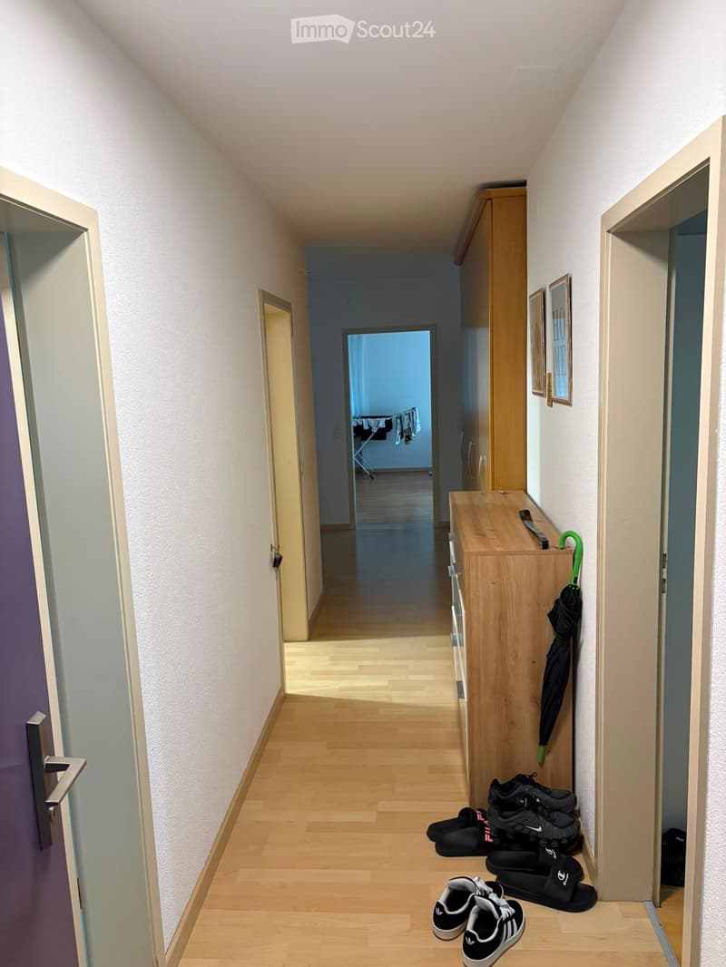 A narrow hallway with light wooden flooring, white walls, and several doors leading to other rooms. A small wooden cabinet with an umbrella and shoes placed on the floor is visible on the right side.