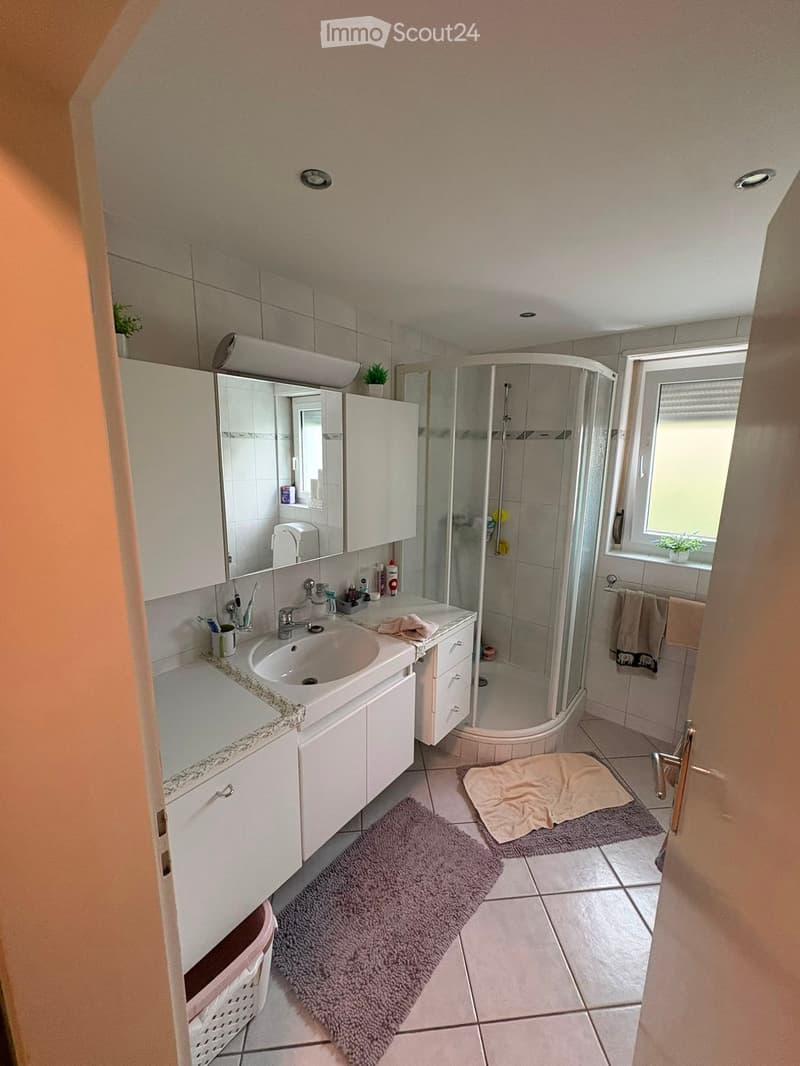{"type": "Bathroom", "objects": ["sink", "faucet", "mirror", "cabinet", "shower", "towel", "rug", "toilet", "toothbrush", "toothpaste", "shampoo", "shower gel", "shower cap", "shower towel", "shower shelf", "shower door", "shower handle", "shower head", "