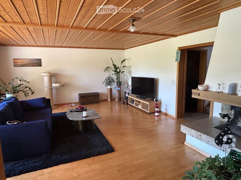 Modern living room with wooden floors, a blue sofa, a coffee table, a television, a fireplace, and decorative plants.