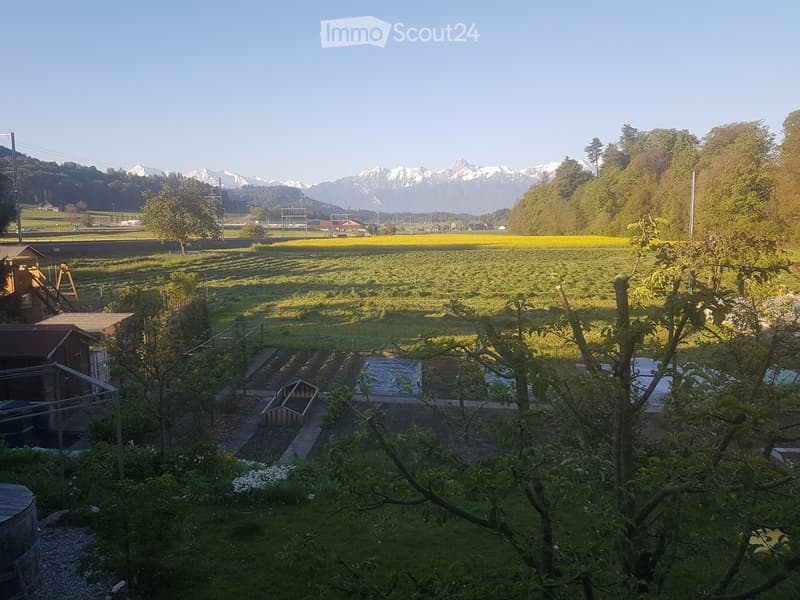 Garden with fruit trees, raised beds, greenhouse, and a view of mountains in the background.