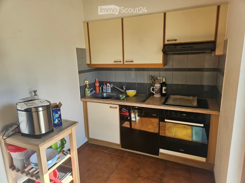 {"type": "Kitchen", "objects": ["oven", "dishwasher", "sink", "faucet", "cupboard", "fridge", "table", "cup", "bottle", "bowl", "oven hood", "oven", "oven", "oven", "oven", "oven", "oven", "oven", "oven", "oven", "oven", "oven", "oven", "oven", "oven", "o