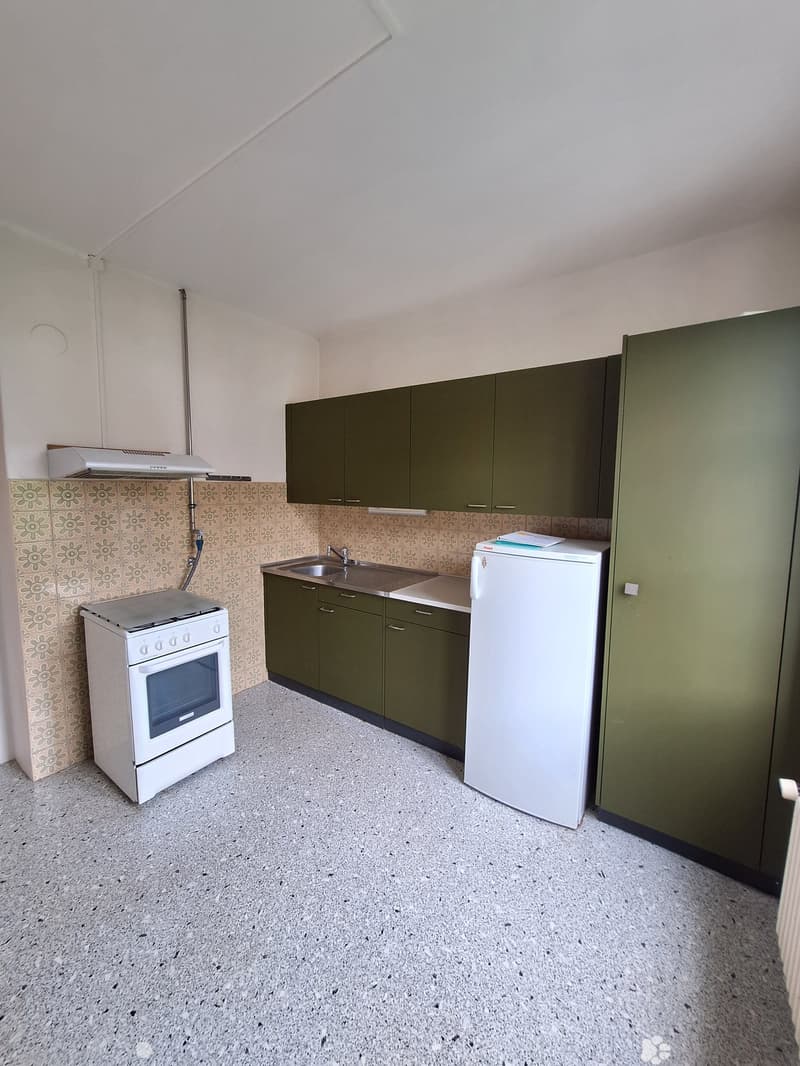 Kitchen with green cabinets, white stove, sink, and refrigerator. The walls have a floral-patterned backsplash.