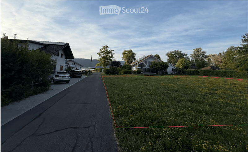Residential street with houses, parked cars, and a grassy area with wildflowers on the right side.