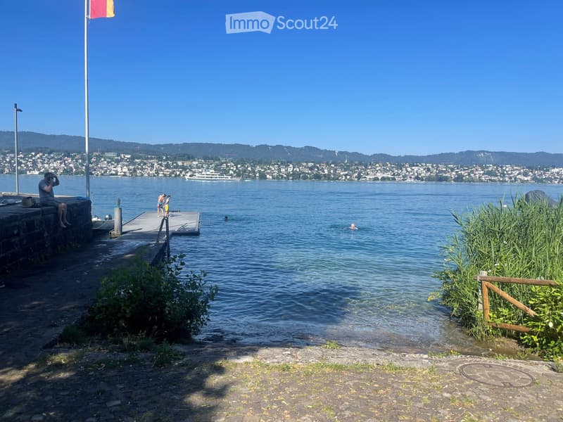 A lakeside scene with a dock, people swimming, and a cityscape in the background.