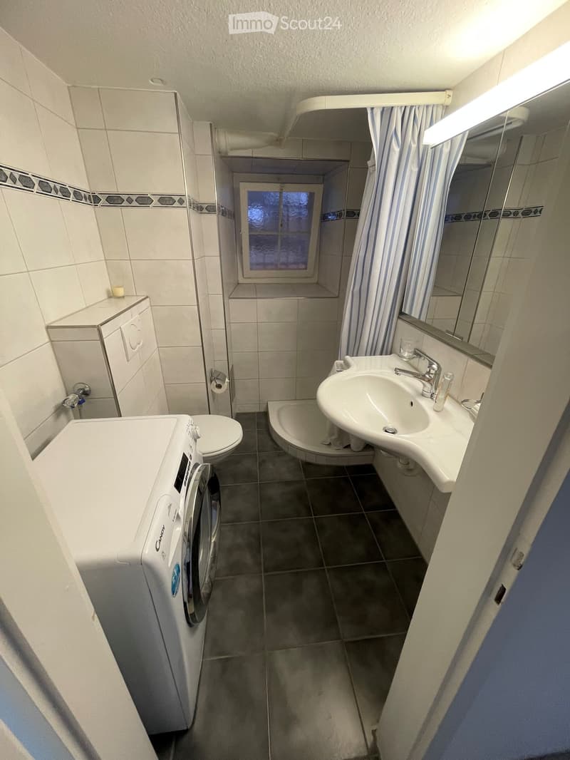 Modern bathroom with a sink, toilet, washing machine, and a small shower area with a curtain.