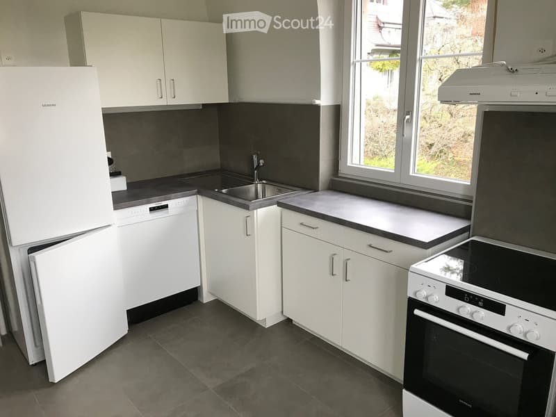 modern kitchen, white cabinets, gray tiled floor, stainless steel sink, refrigerator, dishwasher, stove, window