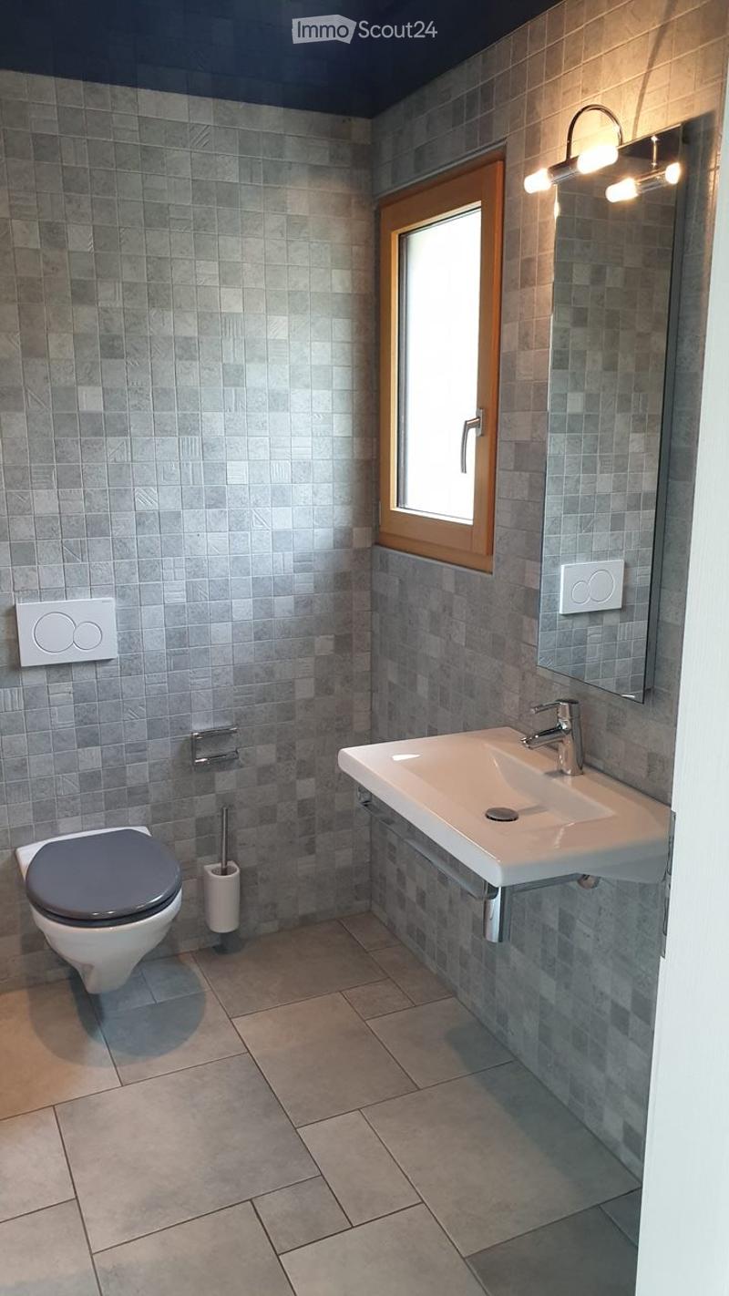 Modern bathroom with grey tiled walls and floor, white toilet, white sink with chrome faucet, mirror, and light fixture above.