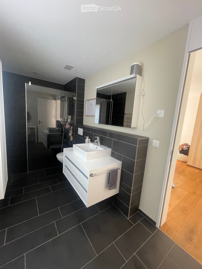 Modern bathroom with black tiled walls and floor, white sink cabinet, large mirror, and a glass-enclosed shower area.