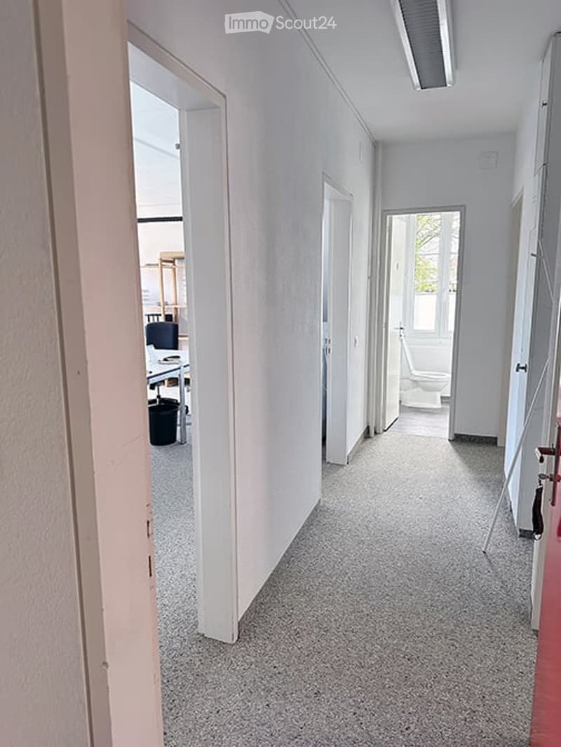 Empty hallway with white walls, carpeted floor, and several open doors leading to different rooms.