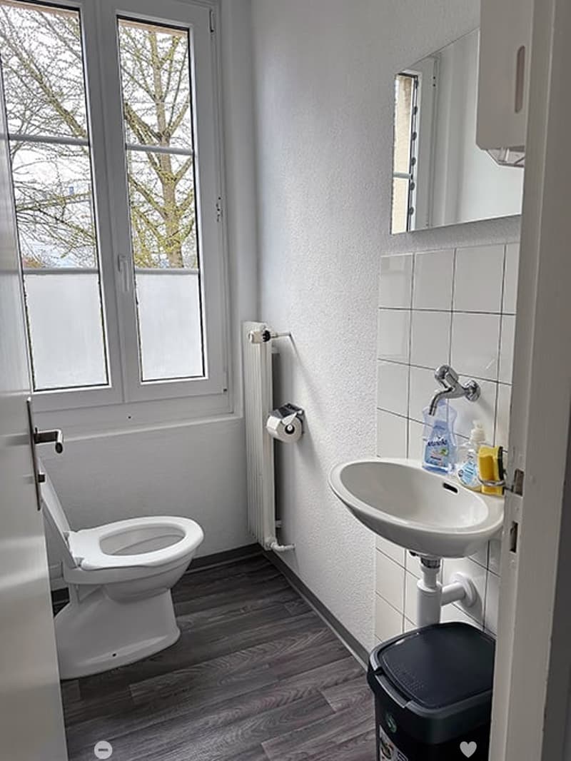 Modern bathroom with white tiled walls, wooden flooring, a toilet, a sink with a faucet, a mirror, a radiator, and a toilet paper holder.