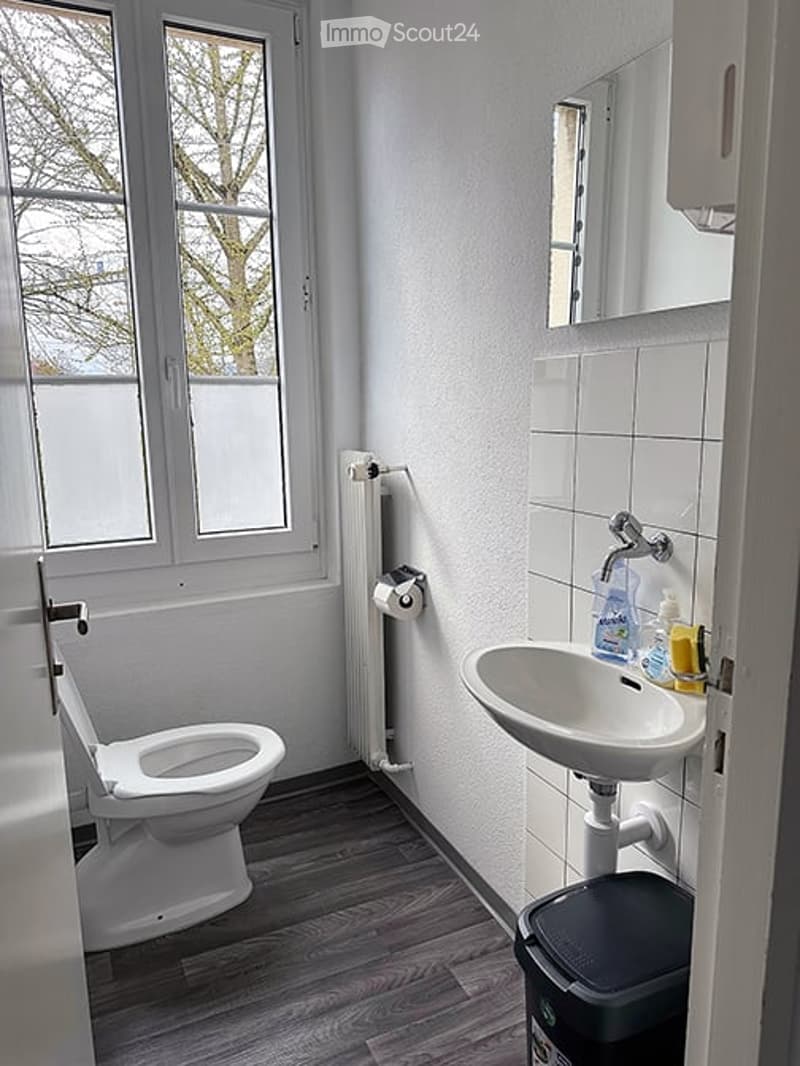 Modern bathroom with white tiled walls, wooden flooring, a toilet, a sink with a faucet, a mirror, a radiator, and a toilet paper holder.