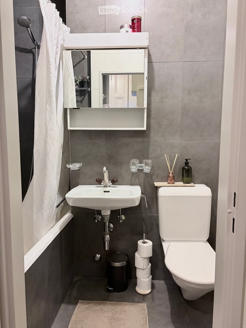 Modern bathroom with a white sink, toilet, mirror, and various toiletries. Features a grey tiled wall and floor, a shower curtain, and a small rug.