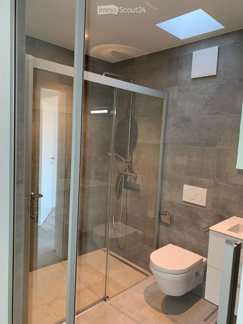 Modern bathroom with a glass-enclosed shower, toilet, and sink. Features grey tiled walls and a skylight window for natural light.
