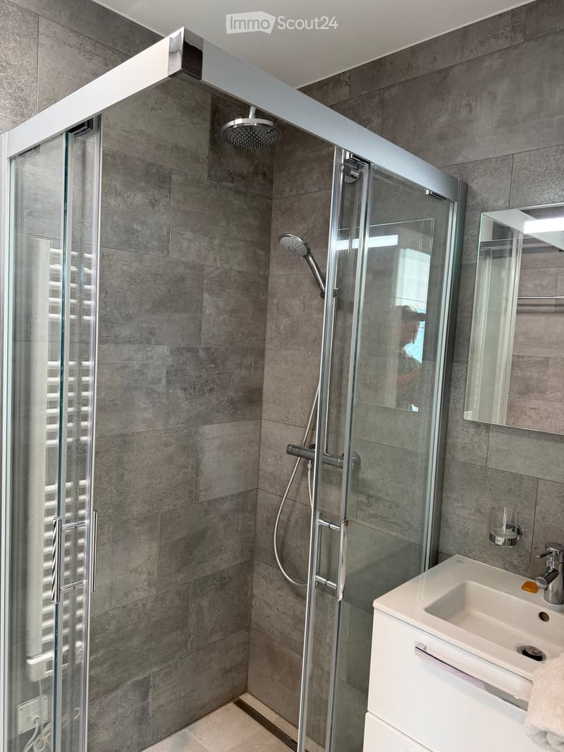Modern bathroom with a glass-enclosed shower, a white sink with a chrome faucet, and a large mirror above the sink. The walls are tiled in a grey stone pattern.