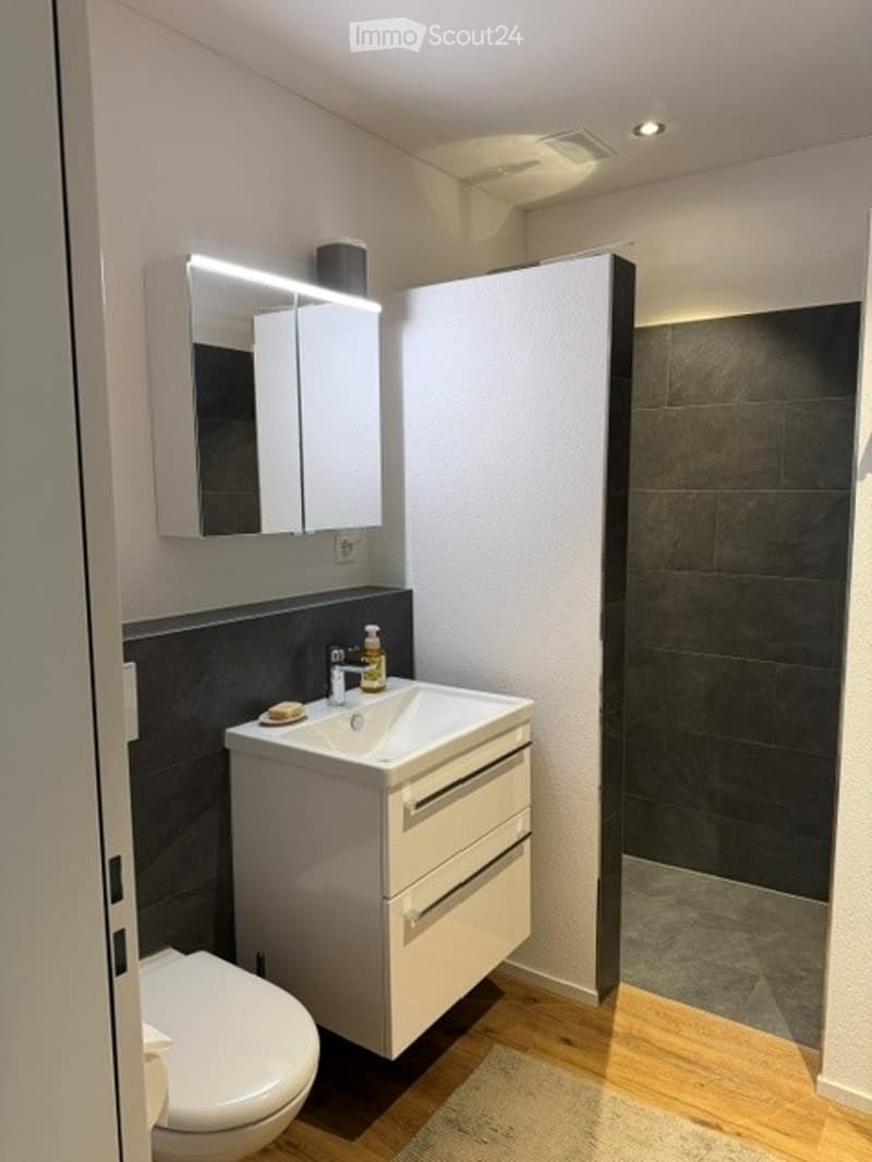 Modern bathroom with a white sink, mirror, toilet, and a dark-tiled shower area. The sink has a sleek faucet and a small bottle of soap on the counter.