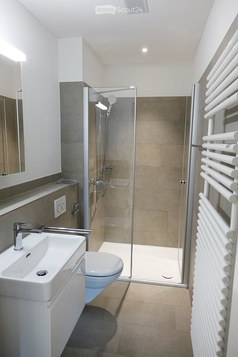 Modern bathroom with a white sink, chrome faucet, toilet, glass-enclosed shower, and a white radiator.