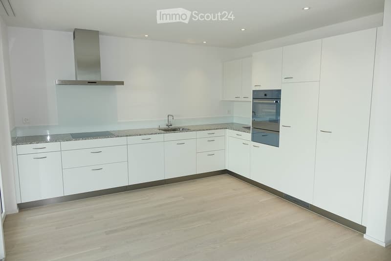 Modern kitchen with white cabinets, granite countertop, sink, faucet, oven, and range hood. Light wooden flooring.