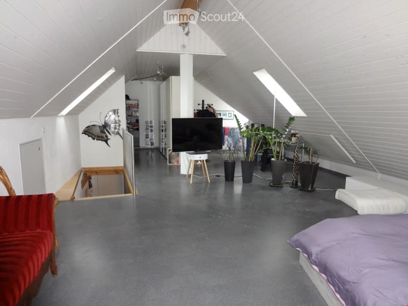 Loft-style room with exposed wooden beams, grey concrete floor, and modern furnishings including a bed, chair, screen, and plants.