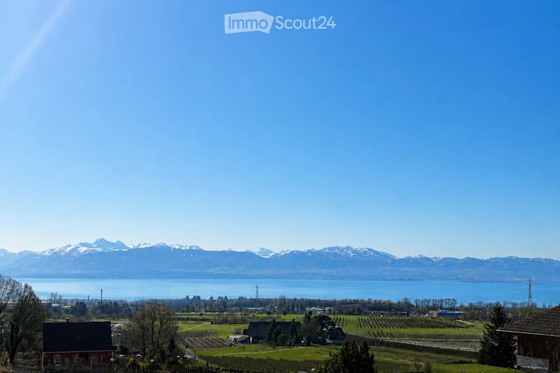 A panoramic view of a vineyard area with rows of grapevines, scattered houses, and a distant lake surrounded by snow-capped mountains under a clear blue sky.