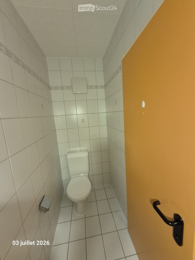 Small bathroom with white tiled walls and floor, a toilet, and a toilet paper holder on the left side. The door has a black handle.