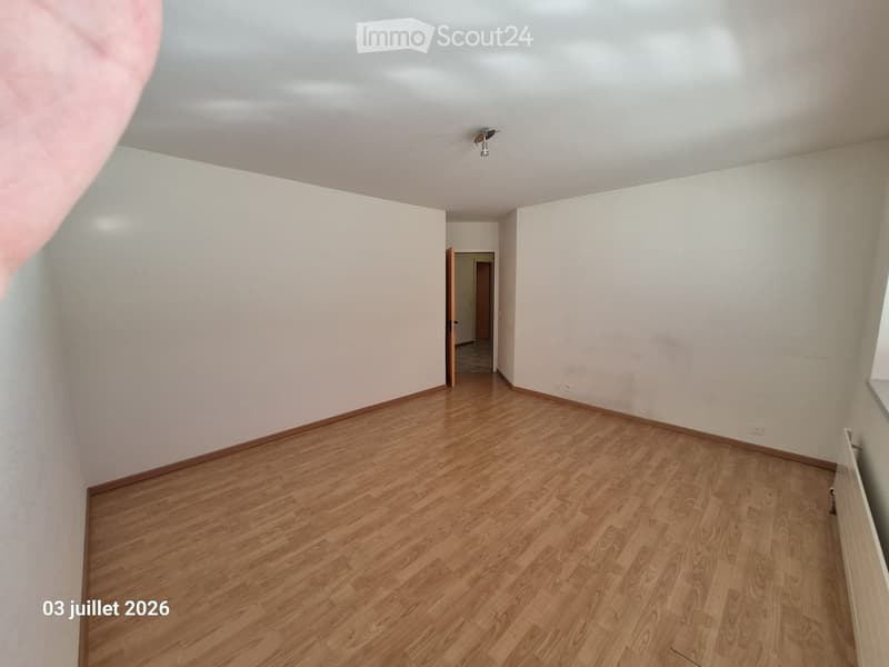 Empty room with wooden flooring and white walls, featuring a ceiling light fixture and an open doorway leading to another room.