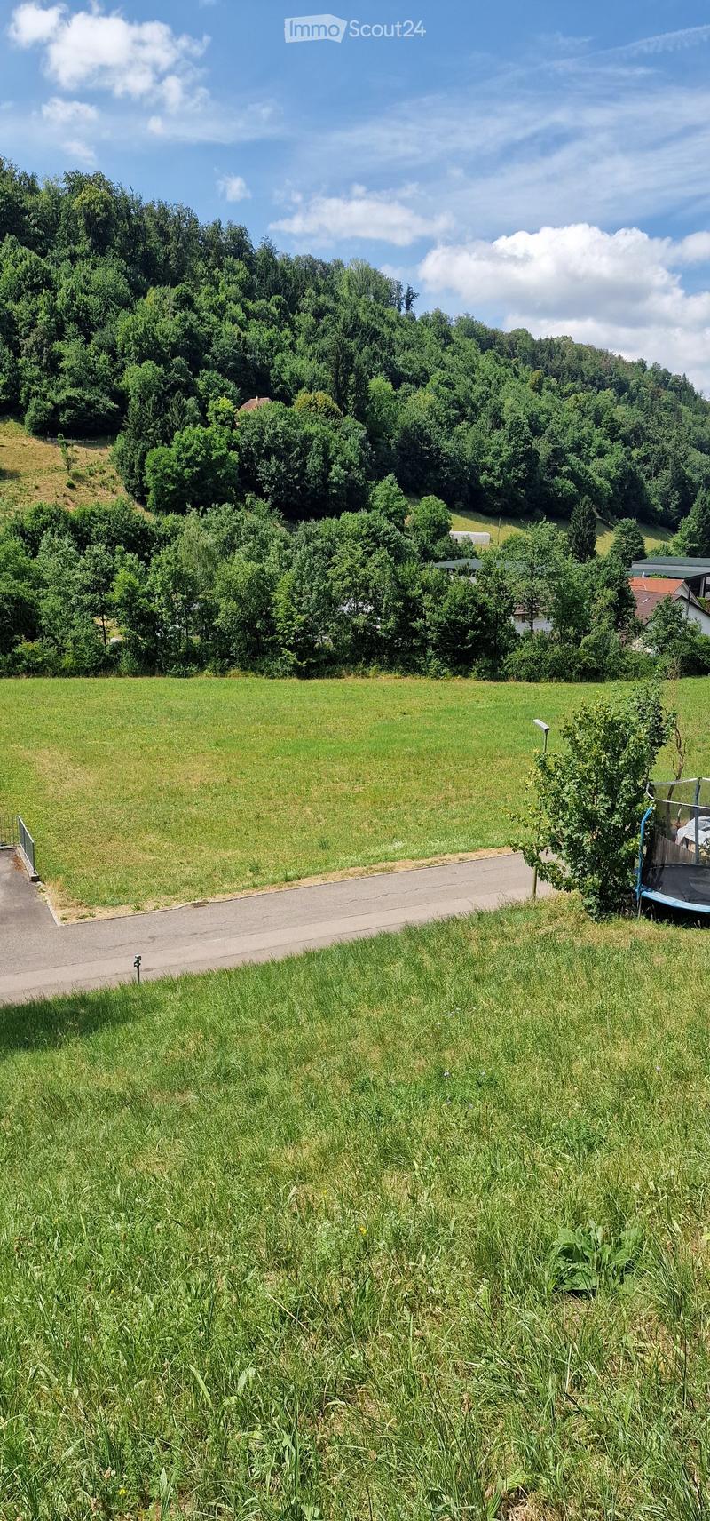 A large, open green field with a paved road running through it, surrounded by dense forest and trees. A small trampoline is visible on the right side.