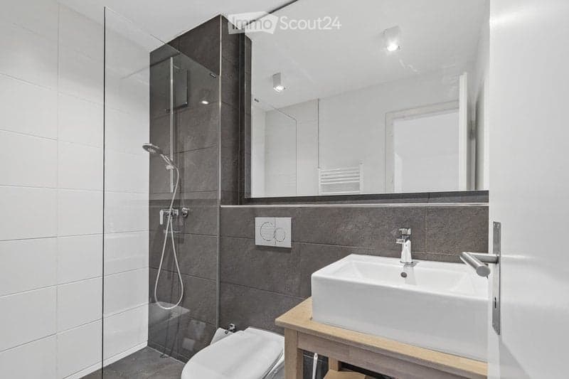Modern bathroom with a white toilet, a white sink on a wooden vanity, a large mirror, and a glass-enclosed shower with a handheld showerhead.