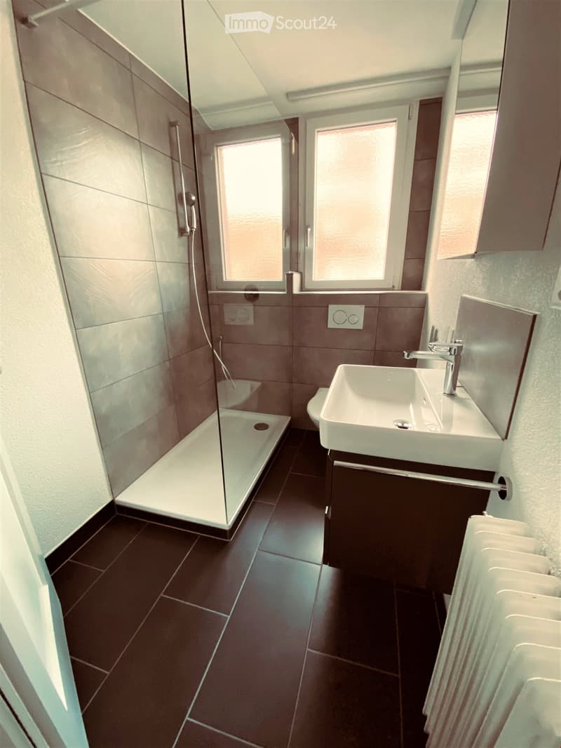 Modern bathroom with dark tiled floor, white sink, glass-enclosed shower, and large windows providing natural light.