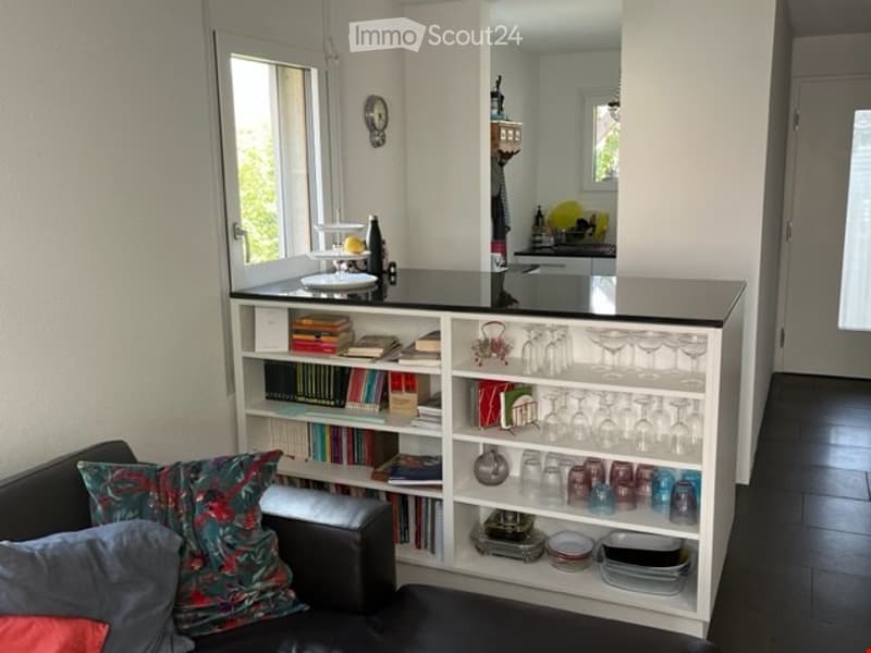kitchen and living area, open plan, bar counter, leather couch, bookshelf, glasses and books, dining table
