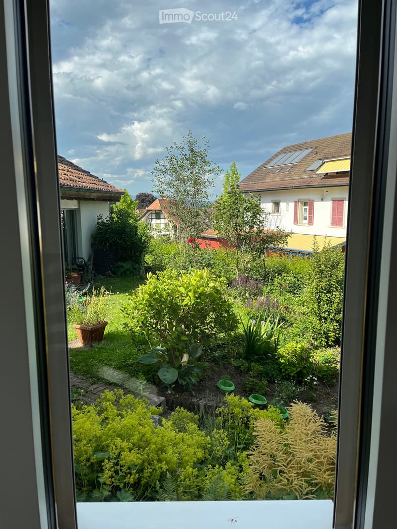 Garden with various plants, shrubs, and trees, visible from a window with neighboring houses in the background.