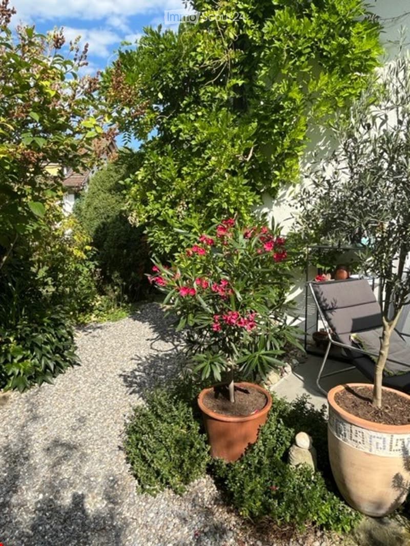 Small backyard with gravel floor, shrubs, trees, and plants, garden lounge chair, large potted plants, and decorative stones.