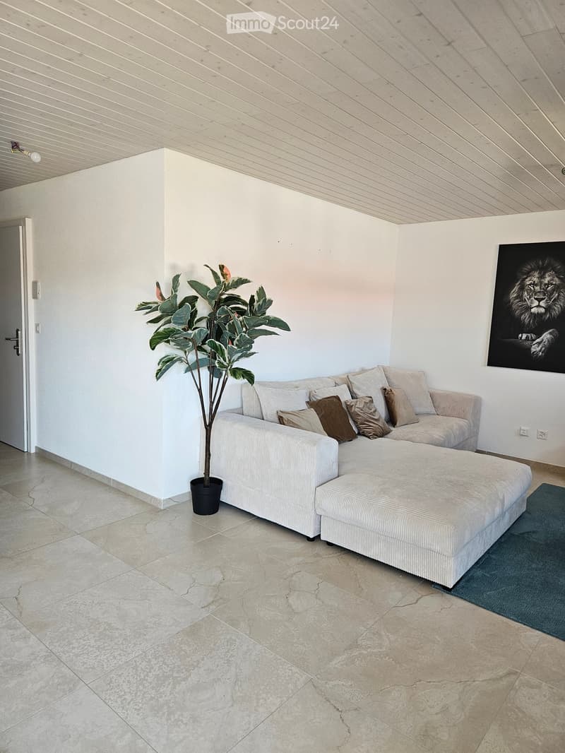 Modern living room with a white sectional sofa, ottoman, decorative pillows, a potted plant, and artwork on the wall.