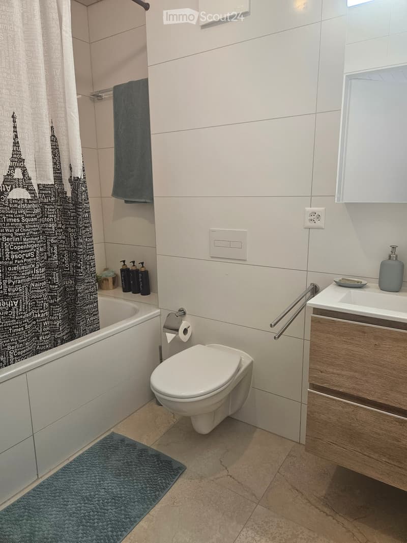 Modern bathroom with a toilet, bathtub, sink, towel, toilet paper, soap dispenser, handrail, and bathroom cabinet.