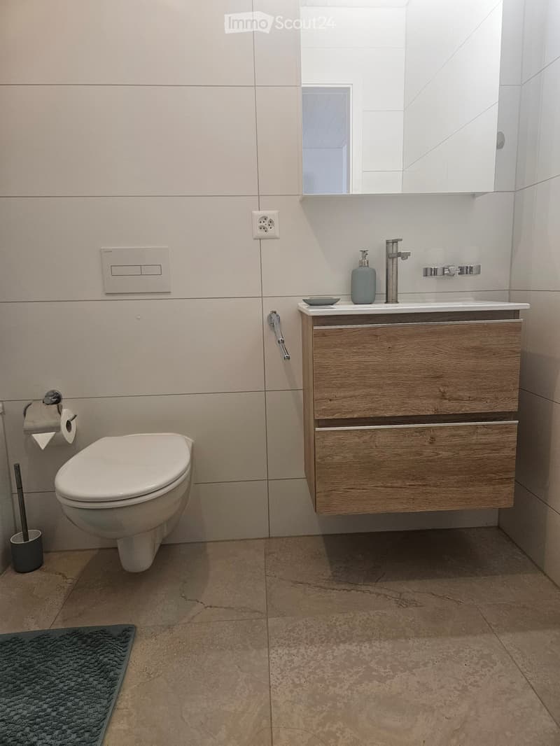 Modern bathroom with a toilet, sink with wooden cabinet, mirror, soap dispenser, and a toilet paper holder. Light beige tiles and a grey rug are visible.