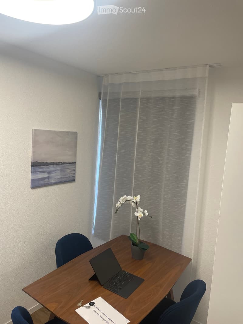 A small, well-lit room with a wooden table, laptop, flower pot, and two blue chairs. A painting hangs on the wall, and sheer curtains cover the window.