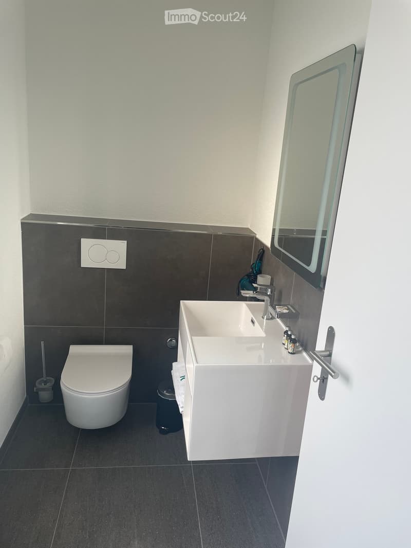 Modern bathroom with a white toilet, double sink vanity, and a large mirror. Dark tiled walls and floor.