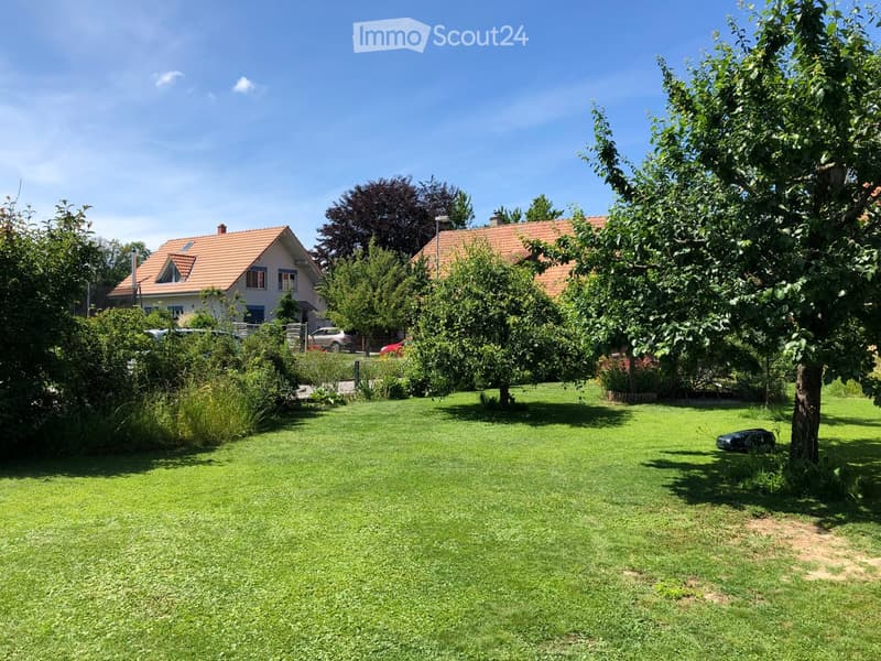 Well-maintained lawn with trees and shrubs, two houses in the background, parked cars, and a clear blue sky.