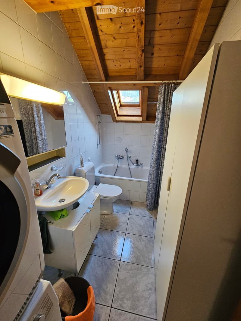 Modern bathroom with a sink, toilet, bathtub, and a skylight window. Features include a mirror, light fixture, and a curtain on the bathtub.