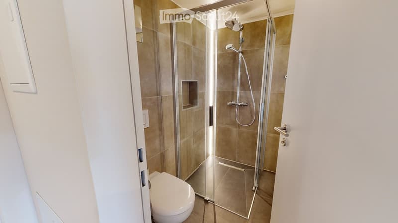 Modern bathroom with a glass-enclosed shower, a toilet, and a sleek showerhead.