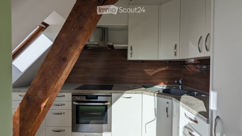 Modern kitchen with white cabinets, wooden accents, stainless steel oven, and a large skylight window above the sink.