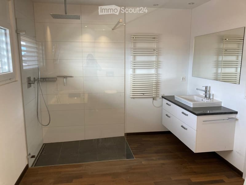 Modern bathroom with a white sink, mirror, radiator, and glass-enclosed shower area.