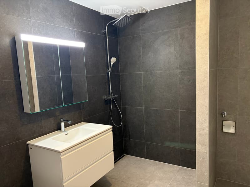 Modern bathroom with dark grey tiles, white sink, built-in cabinet, illuminated mirror, and a handheld showerhead.