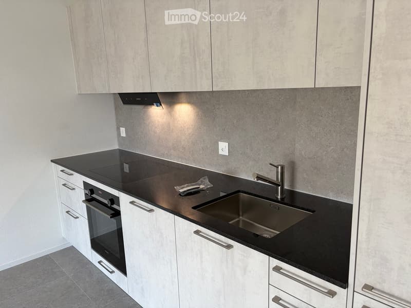 Modern kitchen with white cabinets, black countertop, stainless steel sink, and built-in oven.