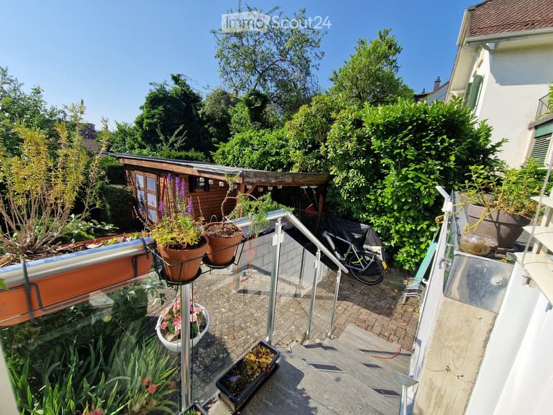 Balcony with potted plants, metal railing, and a small wooden shed in the background.